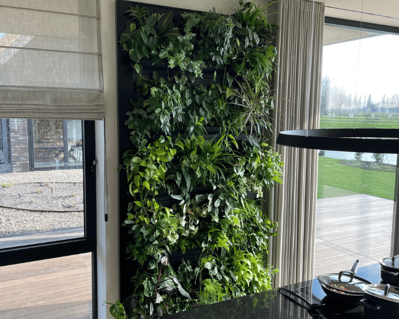 Plantenwand automatische irrigatie - Orangerie Bijleveld