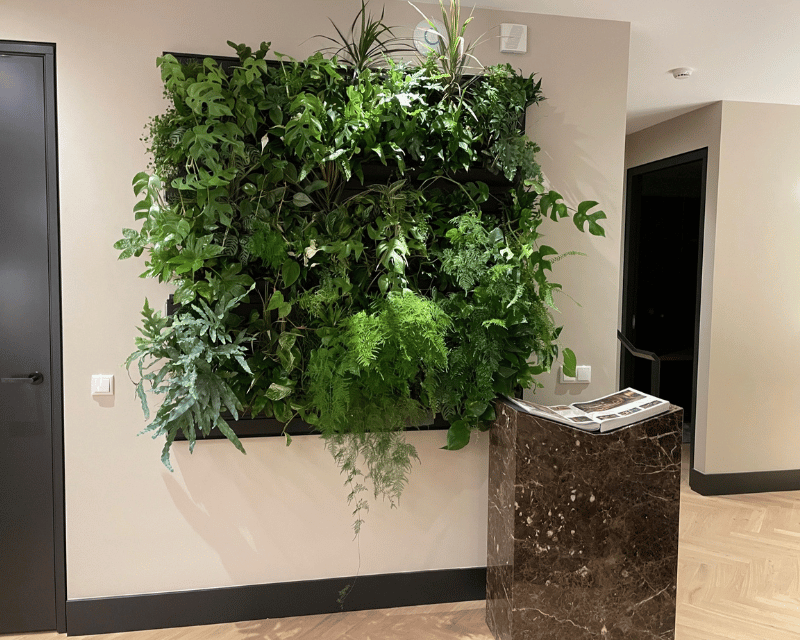 Plantenwand compact handmatige irrigatie - Orangerie Bijleveld