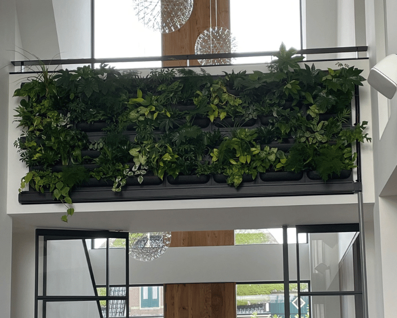 plantenwand in woning