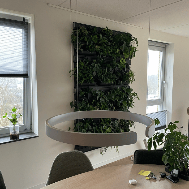 Fysio Herber plantenwand review - Orangerie Bijleveld