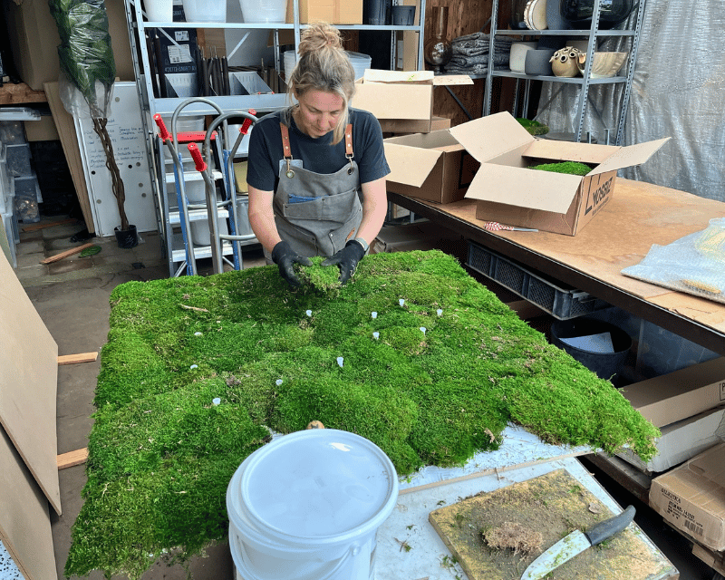 Petra maakt een mospaneel op maat - Orangerie Bijleveld (1)