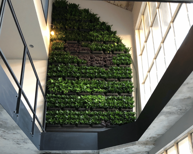 Plantenwand automatische irrigatie - Orangerie Bijleveld (1)