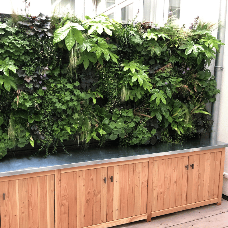 Review Plantenwand op binnenplaats - Orangerie Bijleveld