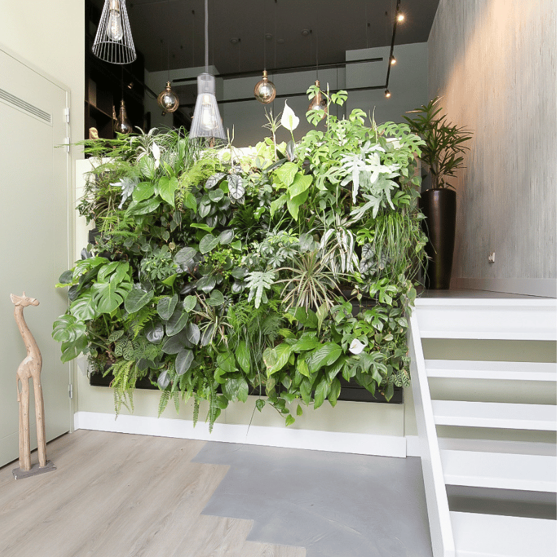 Plantenwand in huis