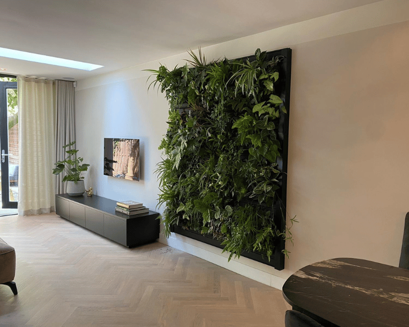 Populariteit van plantenwanden