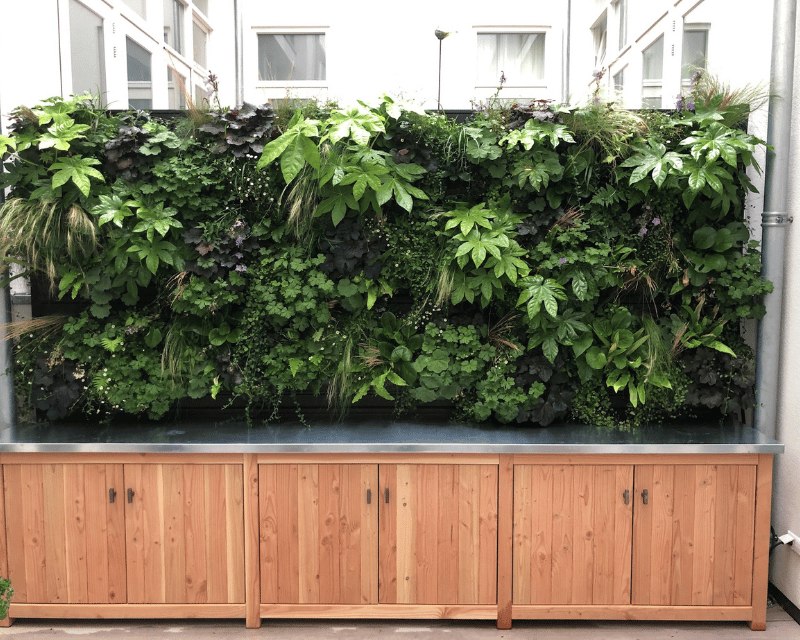 Plantenwand balkon - Orangerie Bijleveld balkon met plantenwand