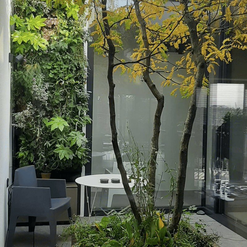 plantenwand patio - Orangerie Bijleveld plantenmuur in patio vergroend en geeft een ruimtelijk gevoel