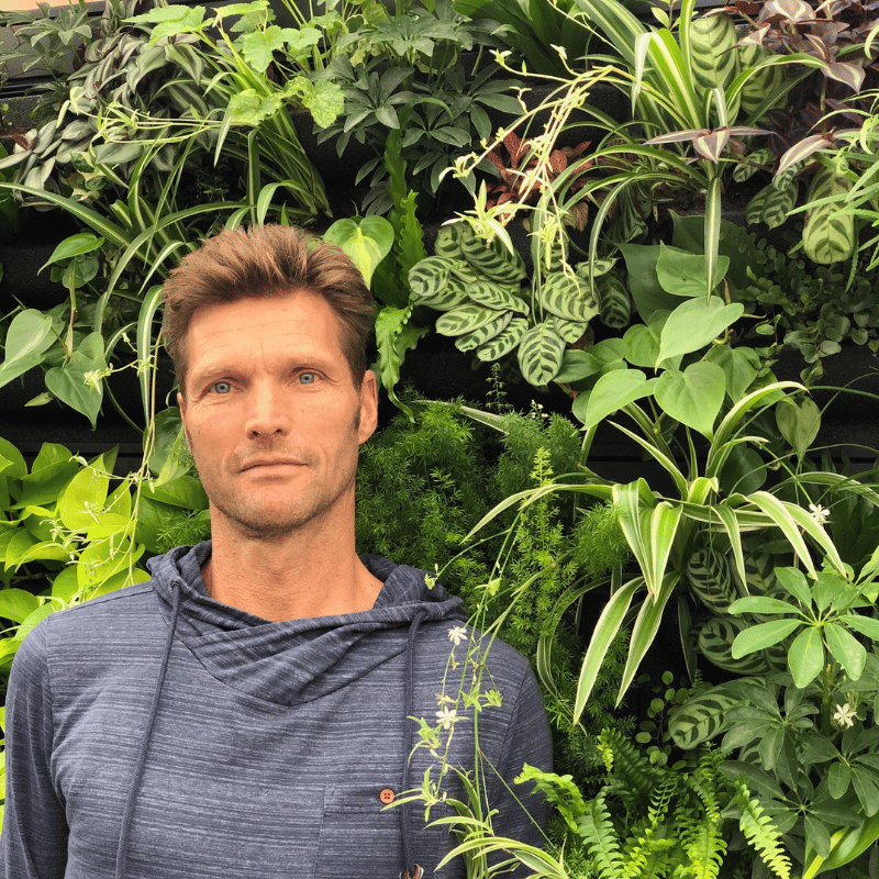 Frank Steenbakker, eigenaar Orangerie Bijleveld voor een plantenwand