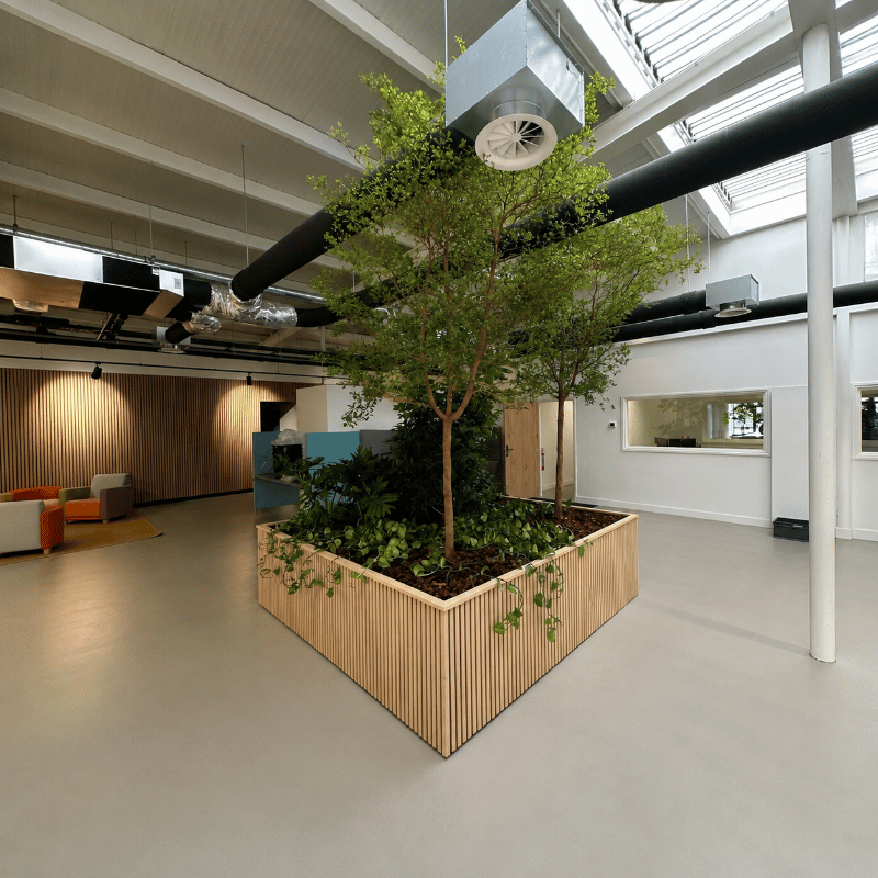Binnentuin in kantoorpand met echte bomen voor binnen