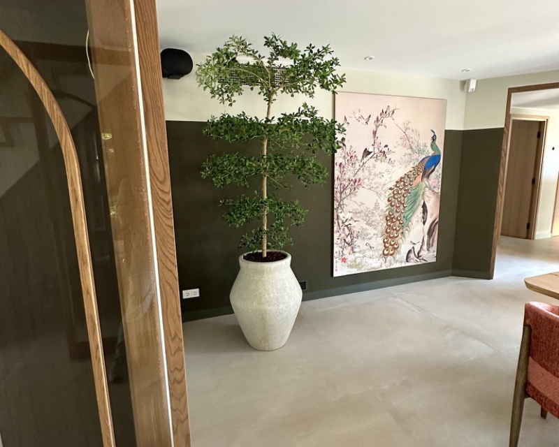 Kunstboom in woning Bucida boom 